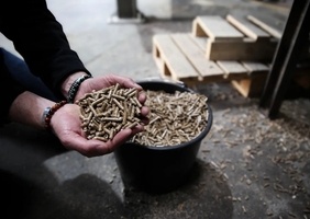 Granulés de bois : une énergie verte controversée