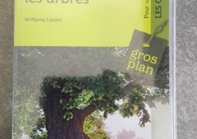 Livre de reconnaissance des arbres