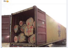 Prix du bois qui augmente = scierie qui ferme > Pétition FNB