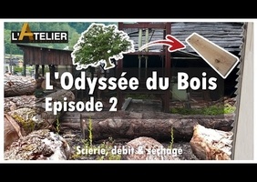 L'Odyssée du Bois 2 - DECOUVERTE D'UNE SCIERIE, comment transformer l'arbre en planches