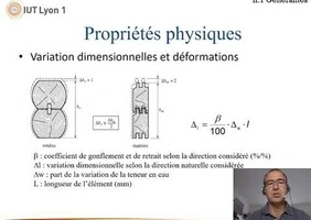 Bois matériaux IUT Parfait pour tout comprendre de votre matériau préféré !