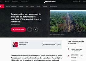 Déforestation  : comment du bois issu de déforestation continue d’être vendu à travers le monde