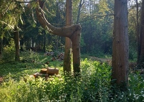 Pas comme les autres !