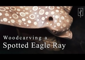 Sylvain Gauthier sculpte une raie aigle