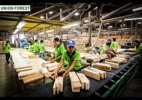 Voila pourquoi certain meubles massifs sont si abordables dans nos magasins..