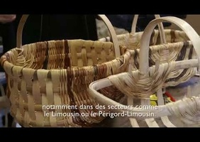 Le chataignier en France et en Espagne