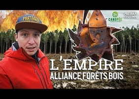 Coupe rase or not coupe rase....