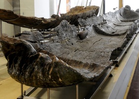 Des bateaux en bois vieux de plus de 7000 ans