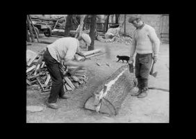 Courber du bois vert (technique à l'ancienne)