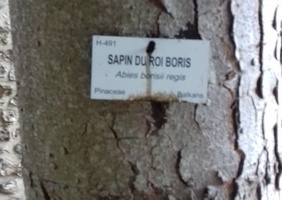 Trouvé dans un parc en normandie