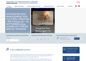 Insectes du patrimoine culturel