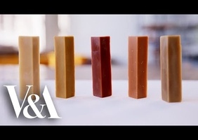 Des craies grasses à partir d'arbres