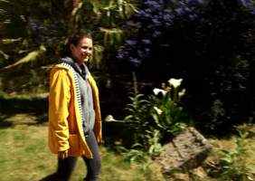 Les ruches horizontales sur TF1