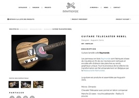 Guitare en bois de récup