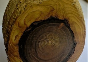 Travail de dame nature