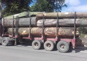 Sortie de la propriété en grumier