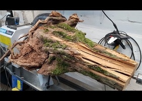 Lampe :  mi souche mi résine