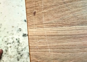 La trouvaille qui fait pas plaisir ...