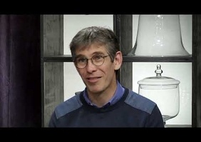 Un arbre c'est le temps rendu visible