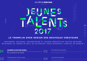 Tremplin Jeunes Talents 2017