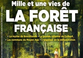 La forêt française - Revue L’histoire