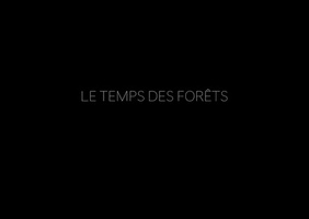 Reportage le temps des forêts