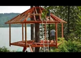 Charpente dans les arbres