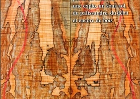 La Gazette de Lutherie Amateur #2