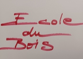 Chaînes YT d'apprentissage