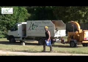 Élagage et abattage XL