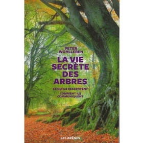 La vie secrète des arbres