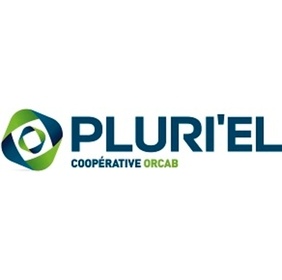 Pluriel