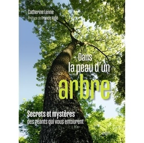 Dans la peau d'un arbre