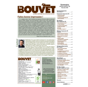 Impression 3D et travail du bois