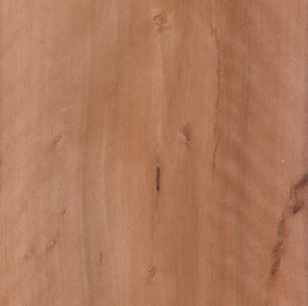 Quatre épices piment de la Jamaïque