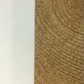 Mélèze de Sibérie