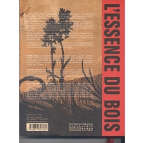 L'essence du bois