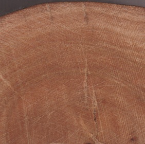 Quatre épices piment de la Jamaïque