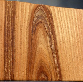 Xanthoceras sorbifolia