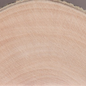 Vanillier de Cayenne