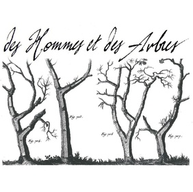 Des hommes et des arbres