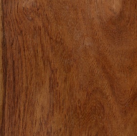 Palissandre de Madagascar