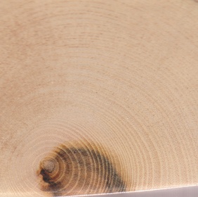 Pistachier térébinthe