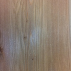 Mélèze de Sibérie