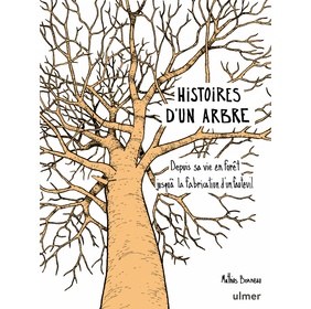 Histoires d'un arbre, depuis sa vie en forêt jusqu'à la fabrication d'un fauteuil