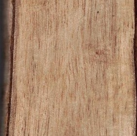 L'Air du Bois