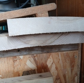 Tulipier de Virginie