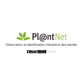 Plant Net