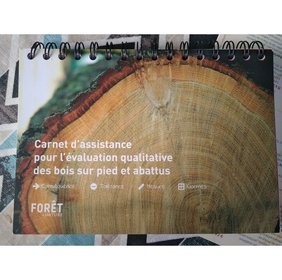 Carnet d'assistance pour l'évaluation qualitative des bois sur pied et abattus