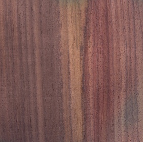 Palissandre des Indes